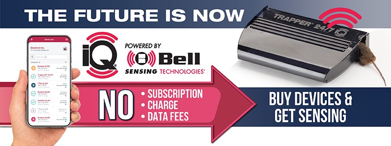 April Bell ad