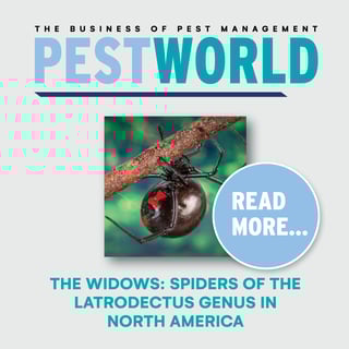 PW_MAY JUNE_2024 Feature 3_Twitter-1