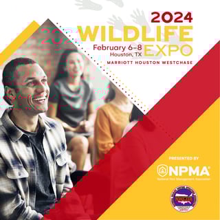 Wildlife 2024 Banner_Twitter