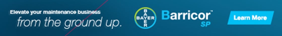 bayer